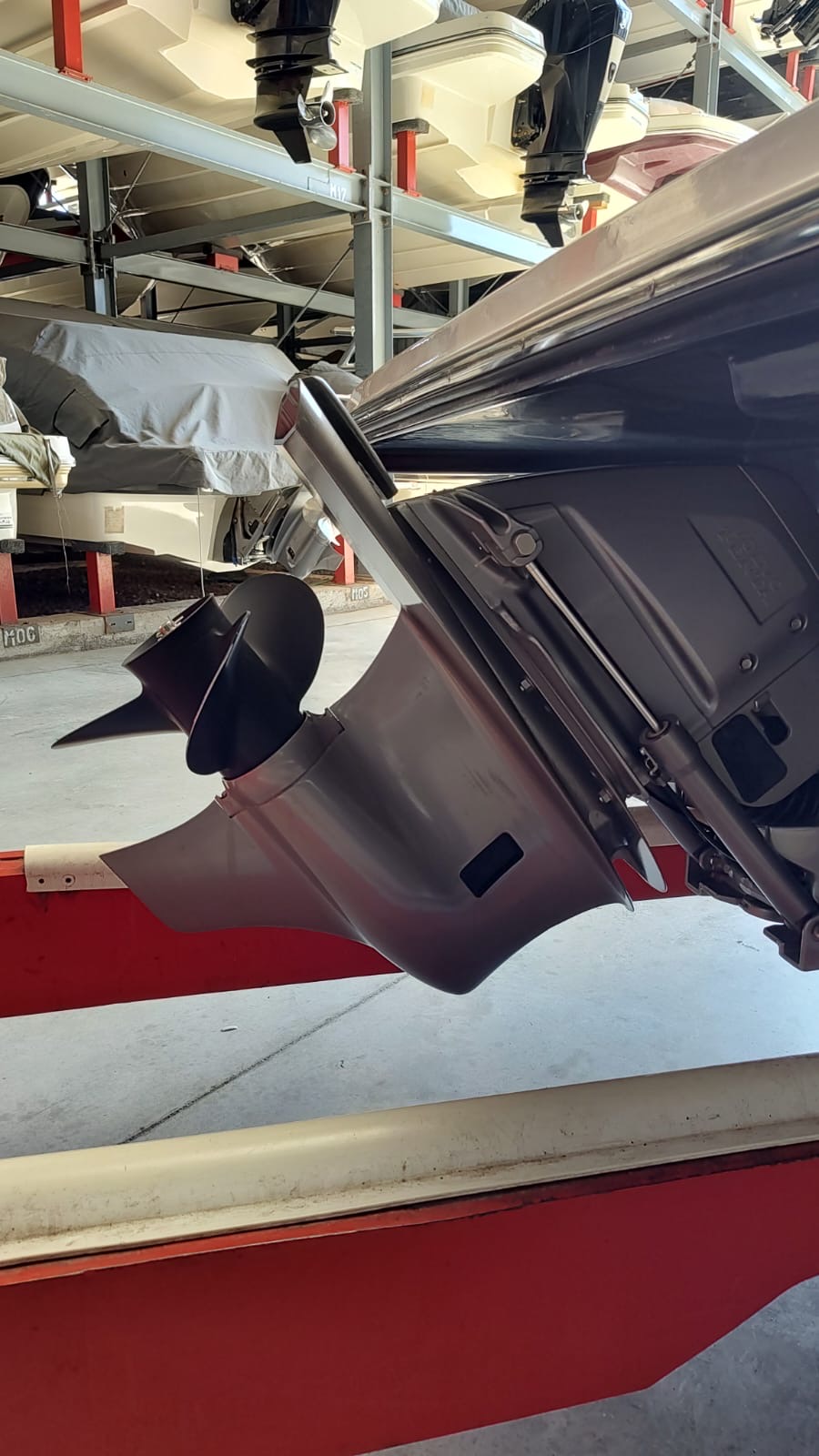 Canestrari 208 open 2024 volvo 200 hp SX 